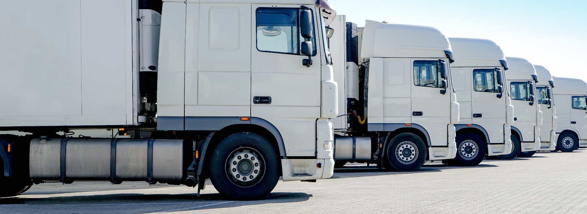 Truck freight forwarding, several white trucks parked side by side
